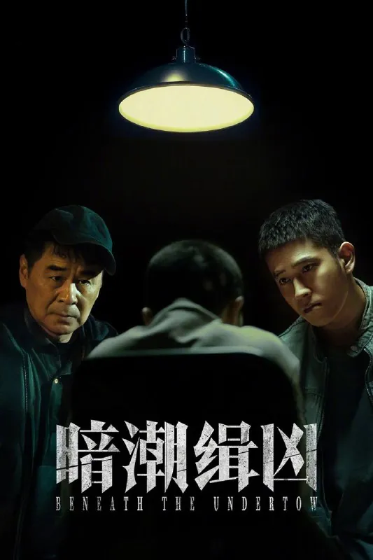 🌍暗潮缉凶4K高码率[60帧率版][全19集]-🌍