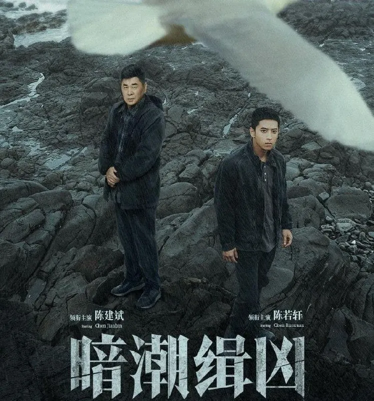 🖼名称：暗潮缉凶（2025）更至19集完结[4K][剧情犯罪][陈建斌陈若轩]-🌍