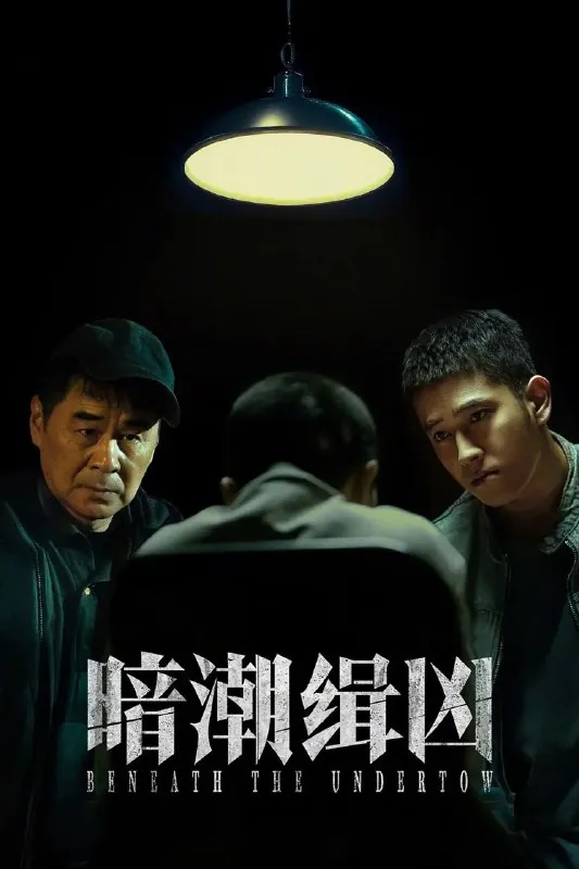 🌍名称：暗潮缉凶全19集[2025]-🌍